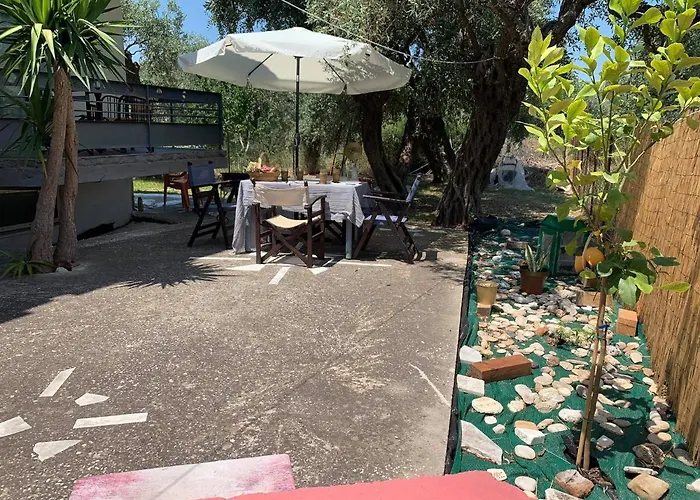 Cactus Suite