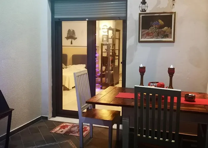 Cactus Suite
