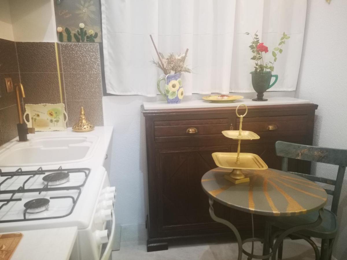 Apartment Cactus